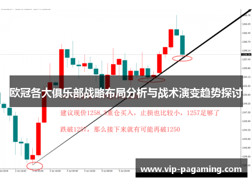 欧冠各大俱乐部战略布局分析与战术演变趋势探讨