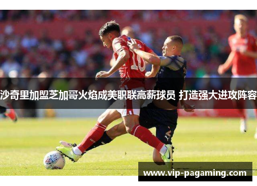 沙奇里加盟芝加哥火焰成美职联高薪球员 打造强大进攻阵容