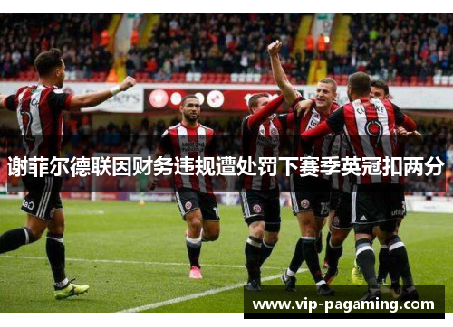 谢菲尔德联因财务违规遭处罚下赛季英冠扣两分