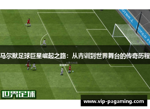 马尔默足球巨星崛起之路：从青训到世界舞台的传奇历程